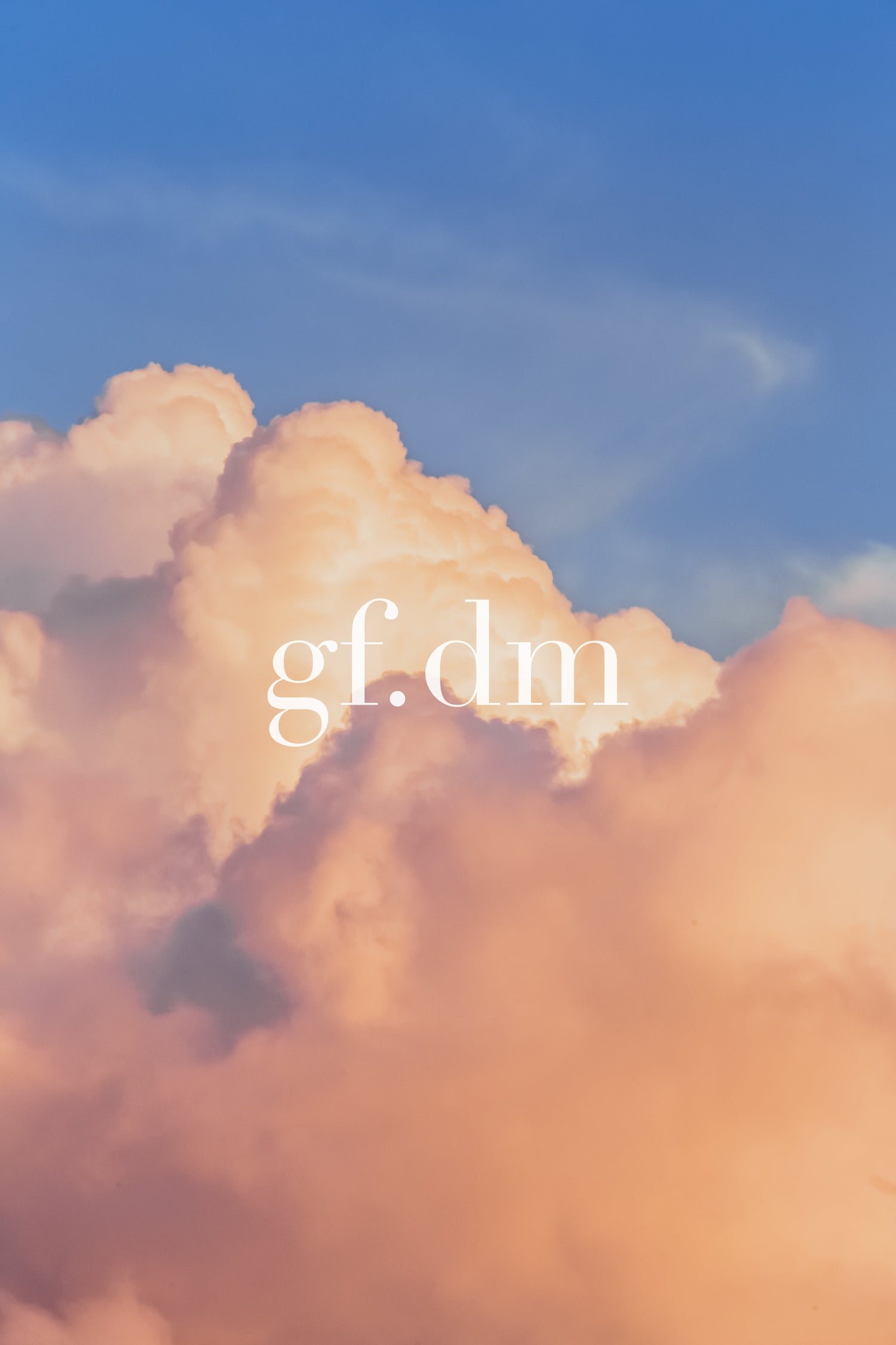 gf.dm（ジーエフディーエム）